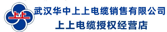 武汉华中上上电缆销售有限公司